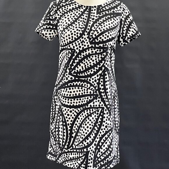 Shift Dress - Picture 1 of 5